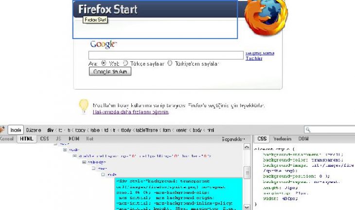 Firebug Eklentisi