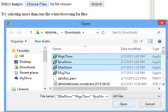 Form ve Form Elemanları Parametre Listesi (Attributes)