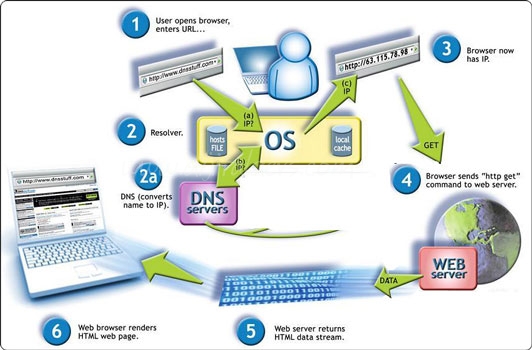 Web Siteleri Nasıl Çalışır