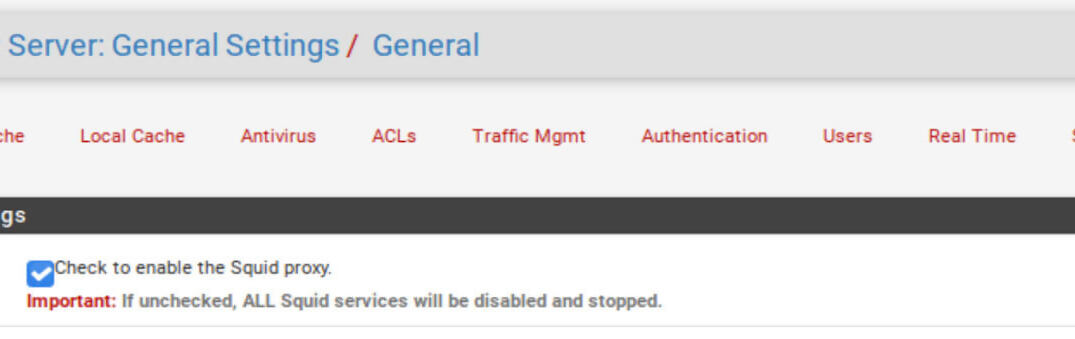 Pfsense Squid ve SquidGuard Paketlerinin Kurulması 2025